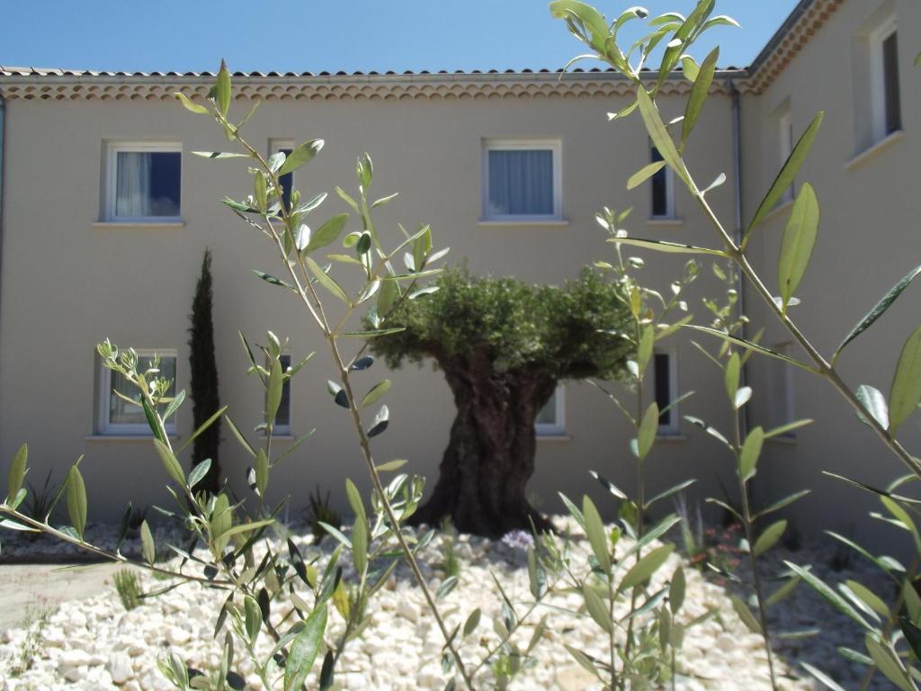 Le Domaine Des Oliviers Hotel Pierrelatte Bagian luar foto